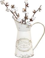 soyizom decorative galvanized centerpiece pitcher，8 9 logo