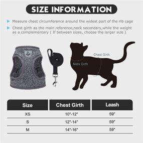 img 3 attached to 🐱 PUPTECK Escape Proof Cat Harness and Leash: Breathable Ultra Light Design for Safe and Stylish Outdoor Walking