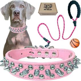 img 4 attached to 🐶 teemerryca 3-Piece Dog Leash and Collar Set with Squeak Ball, Spiked Collar, Reflective 5 FT Padded Leash Combo - Ideal for Puppy, Small, Medium, and Large Dogs