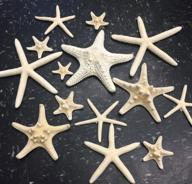 🌟 pepperlonely 14 piece mixed starfish set - finger, knobby armored, jungle - 2 to 6 inch sizes logo