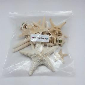 img 1 attached to 🌟 PEPPERLONELY 14 Piece Mixed Starfish Set - Finger, Knobby Armored, Jungle - 2 to 6 Inch Sizes