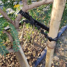 img 3 attached to 🌳 Magarz 10 Pcs Adjustable Tree Supports: Innovative Black Tree Straps for Effective Tree Training & Support