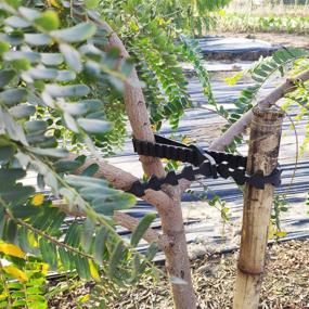 img 2 attached to 🌳 Magarz 10 Pcs Adjustable Tree Supports: Innovative Black Tree Straps for Effective Tree Training & Support