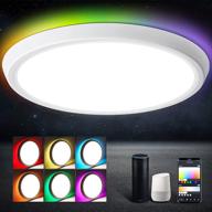 🔆 oeegoo 12 inch wifi rgb smart ceiling light fixture - slim led flush mount, dimmable 35w low profile ceiling lights for bedroom and living room, compatible with alexa and google home for enhanced lighting логотип