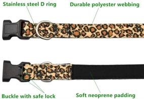 img 2 attached to 🐾 Premium Neoprene Padded Nylon Dog Collar - Durable & Comfortable for Walking & Training - Solid Color Pattern