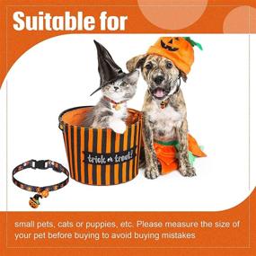 img 1 attached to 🎃 Saintrygo 3-Piece Halloween Cat Collar Set: Breakaway Design, Bell, and Detachable Charm – Adjustable, Cute Pumpkin and Fishbone Design for Kitty Costume Fun!