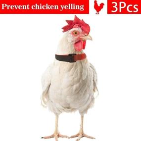 img 3 attached to 🐓 Cafurty Anti Rooster Collar Crowing Prevention Neck Belt, Velcro Nylon Cock Collar for Roosters, Deter Loud Noises, Minimize Neighbour Disturbances (Pack of 3)