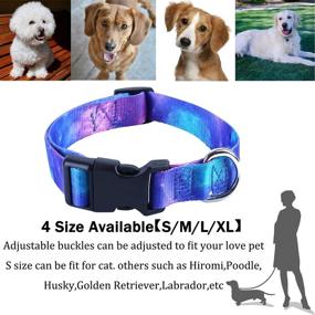 img 1 attached to Impoosy Dog Collar and Funny Leash Set: Stylish Adjustable Stripe Collars for Small to Large Pets