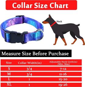 img 2 attached to Impoosy Dog Collar and Funny Leash Set: Stylish Adjustable Stripe Collars for Small to Large Pets