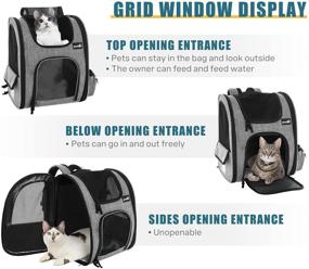 img 2 attached to Pecute Pet Carrier Backpack - Breathable Mesh Cat and Dog 🐾 Backpack for Hiking and Travel - Holds Pets Up to 18 lbs