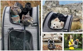 img 3 attached to Pecute Pet Carrier Backpack - Breathable Mesh Cat and Dog 🐾 Backpack for Hiking and Travel - Holds Pets Up to 18 lbs