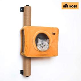 img 3 attached to 🐱 Wall Mounted Cat Condos Tree House - BIG NOSE