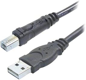 img 2 attached to 🔌 Belkin - F3U133b10 (F3U133b10) 10-Foot Black Hi-Speed USB A/B Cable, USB Type-A and Type-B