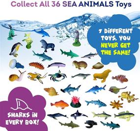 img 2 attached to 🐬 Ванные бомбы с сюрпризом SEA Animal для детей - набор безопасных и натуральных подарков - для девочек и мальчиков - многоцветный органический пузырчатый купальник - сделано в США