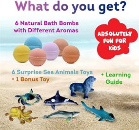 img 3 attached to 🐬 Ванные бомбы с сюрпризом SEA Animal для детей - набор безопасных и натуральных подарков - для девочек и мальчиков - многоцветный органический пузырчатый купальник - сделано в США