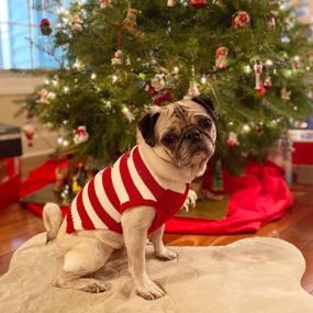img 1 attached to 🐶 Рождественский свитер для собак NACOCO с звонками лосей - идеально подходит для маленьких собак и кошек - идеально подходит для Хэллоуина и нарядов в стиле северного оленя.