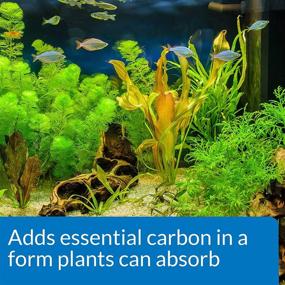 img 1 attached to API CO2 BOOSTER: Promotes Plant Growth & Vibrant Aquarium Plants – Daily Treatment for Lush Results