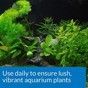 img 2 attached to API CO2 BOOSTER: Promotes Plant Growth & Vibrant Aquarium Plants – Daily Treatment for Lush Results