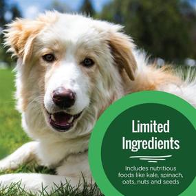 img 3 attached to 🐶 Smart Cookie Dog Food Toppers - Freeze Dried Salmon, Beef, Veggie & Egg Flavors - Natural Meal Mixers for Dogs, Ideal Food Topper for Picky Eaters - Made in USA - 15oz Bag (30 Day Supply)