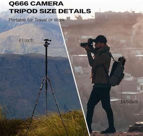 img 3 attached to 📸 ZOMEi Камерный штатив 62 '' Легкий штатив для камеры DSLR: шаровая головка, быстрая пластина, чехол для переноски