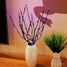 img 1 attached to 🌿 AMARS 2 Pack Purple Lighted Twig Willow Branch Lights - Battery Operated Decorative LED for Vases and Home Decoration - 20 Inches 20 LEDs