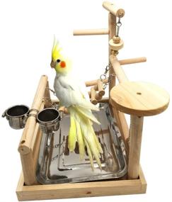 img 3 attached to 🦜 Borangs Parrots Playstand: Ultimate Bird Playground with Perch Training Stand, Cockatiel Playpen, Ladders, Swing, Feeder Cups, and Toys for Fun Exercise