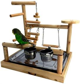 img 2 attached to 🦜 Borangs Parrots Playstand: Ultimate Bird Playground with Perch Training Stand, Cockatiel Playpen, Ladders, Swing, Feeder Cups, and Toys for Fun Exercise