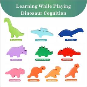 img 2 attached to Dinosaur Stacking Montessori Learning Toddlers
