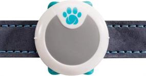 img 1 attached to 🐶 Animo Petcare - Enhanced Dog Behavior Monitor and Activity Tracker