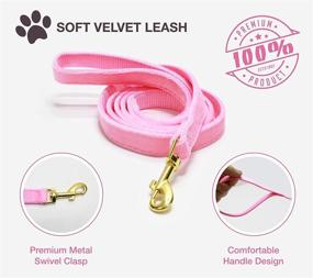 img 2 attached to 🐶 GAMUDA Velvet Dog Collar and Leash: Super Soft and Smooth XS Pink Set with Heavy Duty Gold Buckle—Comfortable, Easy to Clean, and Adjustable