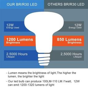 img 2 attached to 💡 Dimmable Daylight LED Bulbs with Incandescent Equivalent