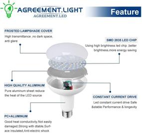 img 3 attached to 💡 Dimmable Daylight LED Bulbs with Incandescent Equivalent