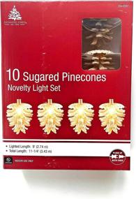 img 2 attached to 🌲 Indoor/Outdoor Sugared Pinecones Novelty Light Set: 10 Pack