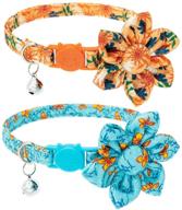 🌸 bingpet spring cat collars: stylish breakaway collars with flower and bell, 2 pack adjustable soft pet kitten collars featuring adorable floral patterns and detachable flower accessories for cats kitties logo