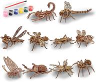 насекомые строительство живопись раскраски дети логотип