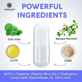 img 2 attached to HTP Supplement GABA 1000Mg Blend