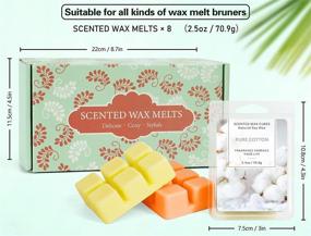 img 1 attached to LASENTEUR Wax Melts: Premium Scented Soy Wax Cubes for Candle Wax Warmer - 8x2.5 oz