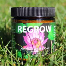 img 1 attached to 🦷 REGROW Remineralizing Tooth Powder: Say Goodbye to Sensitive Teeth and Gums, Naturally Whiten Your Teeth, Cleanse, Heal, and Protect with All-Natural 4oz Glass Jar