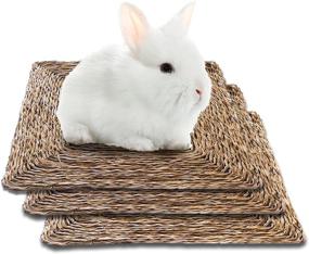 img 4 attached to 🐇 SunGrow Seagrass Rabbit Mat – 12x12 Inches, Edible & Handmade – Multi-purpose Hay Mat for Sleeping, Chewing, Nesting – Boredom Buster & Teeth Trimmer – Nutritious Snack – 3-Pack