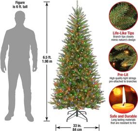 img 2 attached to National Tree Company Pre-Lit 6.5ft Slim Dunhill Fir Christmas Tree, Green with Multicolor Lights - Includes Stand