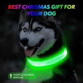 img 3 attached to KAUHSJ LED Dog Collar - Rechargeable and Waterproof Light-Up Collar for Dogs, Adjustable with Steady/Flash/Blink Modes - Ideal for Small, Medium, and Large Breeds