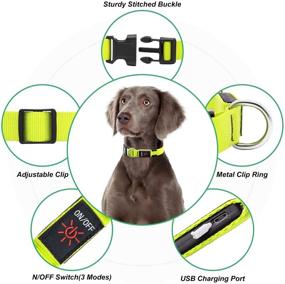 img 2 attached to KAUHSJ LED Dog Collar - Rechargeable and Waterproof Light-Up Collar for Dogs, Adjustable with Steady/Flash/Blink Modes - Ideal for Small, Medium, and Large Breeds