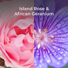 img 3 attached to 🌺 Air Wick Botanica Scented Room Spray, Island Rose and African Geranium, 350 Sprays, 32oz, Pack of 4