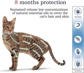 img 1 attached to 🐱 Natural and Safe Flea and Tick Collar for Cats - 2×8 Months Protection, Waterproof, One Size Fits All - 2-Pack w/ Charity!