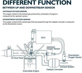 img 2 attached to 🚗 KAX 250-54051 Upstream Oxygen Sensor: Compatible Replacement for Tacoma and 4Runner O2 Sensor