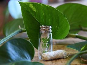 img 1 attached to 🌿 100ft 33yd Organic Silk Dental Floss in Reusable Glass Bottle with Tea Tree and Peppermint Essential Oils - Naturally Waxed, Eco-Friendly Zero Waste Option