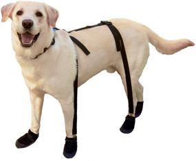 img 1 attached to Canine Snuggy Boots with Footwear Suspenders, X-Large Size, in Black