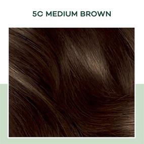 img 2 attached to 🌰 Clairol Natural Instincts 5C Brass Free Medium Brown Hair Dye - Semi-Permanent Color, Pack of 3