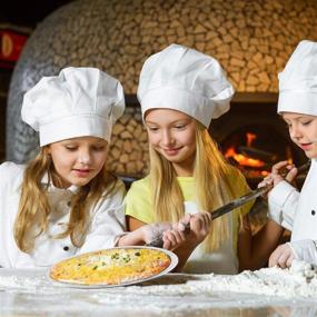 img 1 attached to 🍕 Пицца Экран Высокого Качества Диаметром 10 дюймов из Алюминия: Безшовная Круглая Сетчатая Противень для Домашней Кухни или Ресторанного Оборудования