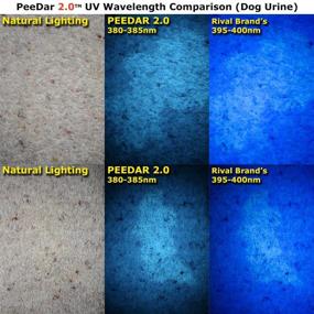 img 1 attached to 🔦 PeeDar 2.0 UV Pet Urine Detector Black Light Flashlight + Behavioral Guide for Cats & Dogs + 3 AAAS - Ultra Bright 380-385NM LEDs Instantly Reveal Invisible Stains! Say Goodbye to Cat and Dog Pee Problems Forever!